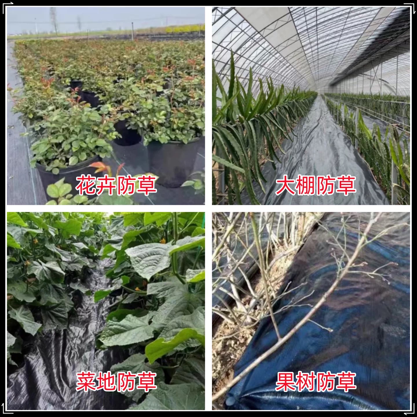 厦门市大棚膜防草布 - 厂家