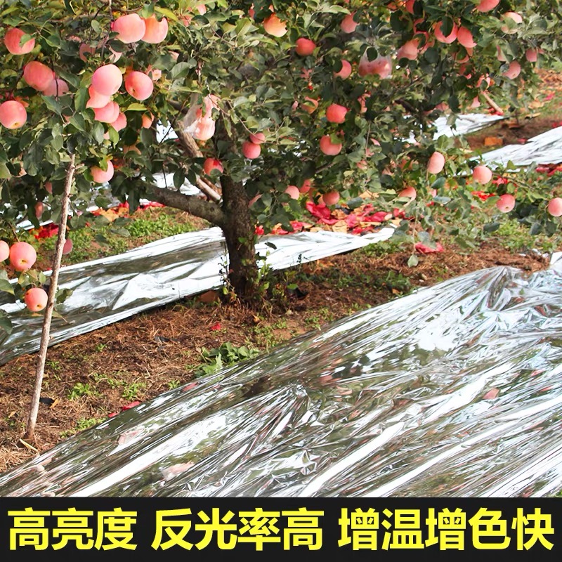 厦门市工程膜果树反光膜 - 推荐